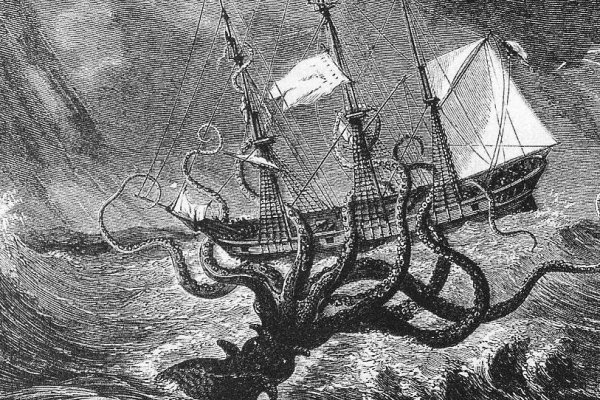 Kraken dark